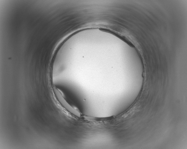 X0000074310960200609222357