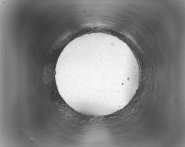 X0000074310967200609222356