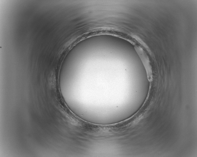 X0000074310969200609222356