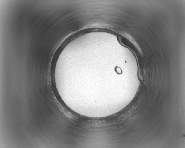 X0000074310972200609222356