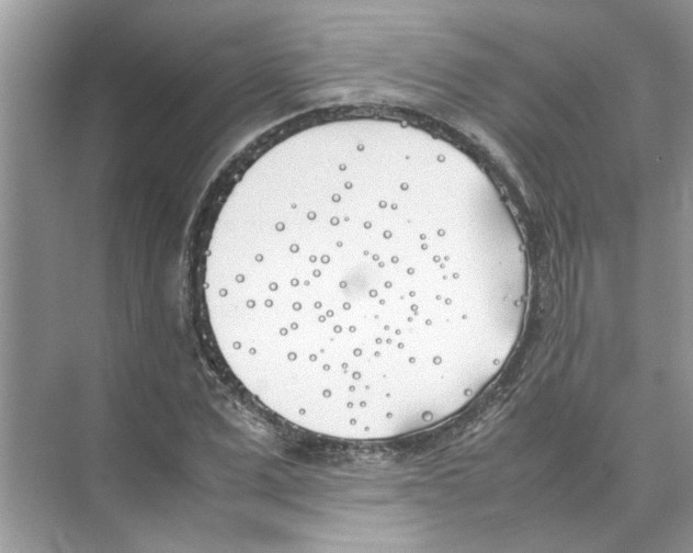 X0000074310975200609222356