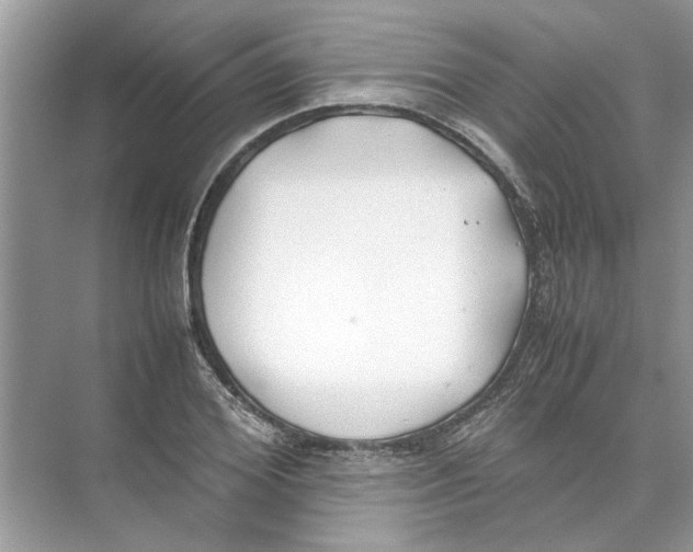 X0000074310980200609222356