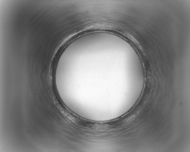 X0000074310981200609222356