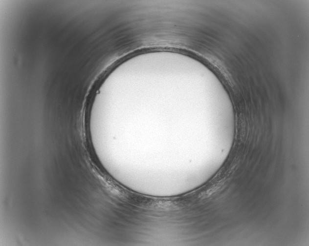 X0000074310982200609222356