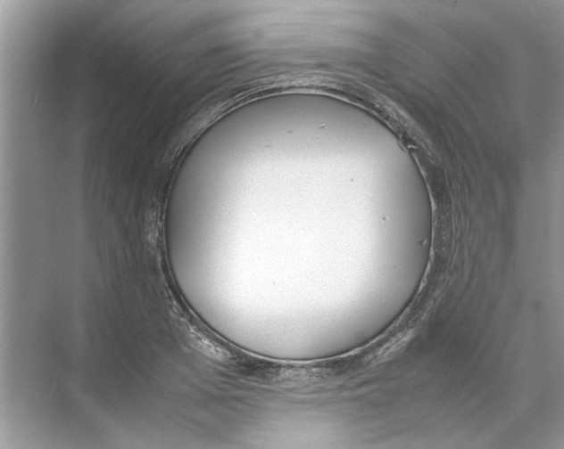 X0000074310985200609222356