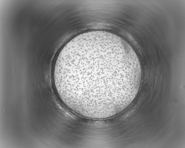 X0000074310986200609222356