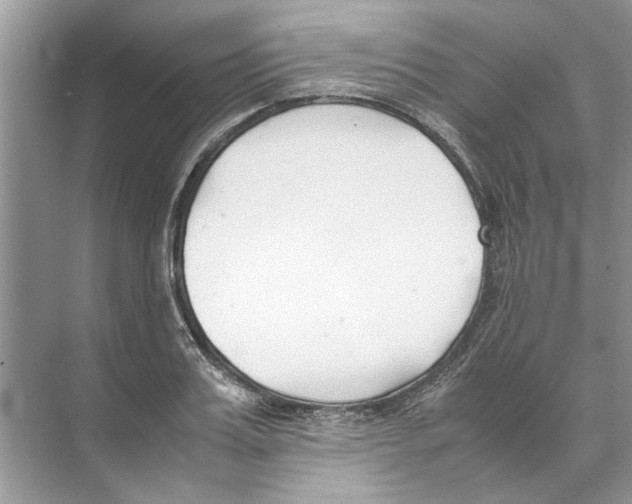 X0000074310987200609222356