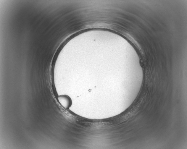 X0000074310988200609222356