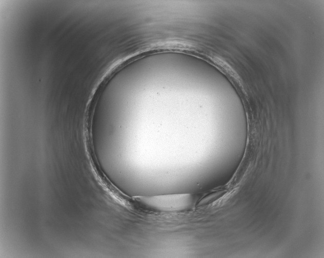 X0000074310989200609222356