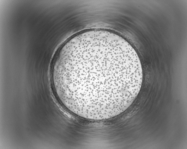 X0000074310990200609222356