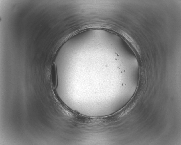 X0000074310993200609222356