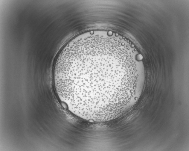 X0000074310994200609222356