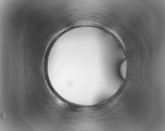 X0000074310995200609222356