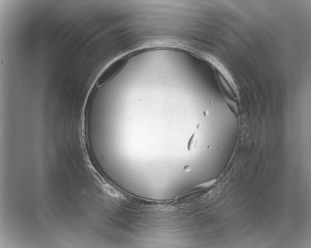 X0000074310996200609222356