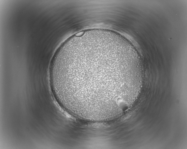 X0000074310998200609222356