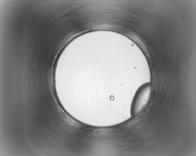 X0000074311000200609222356