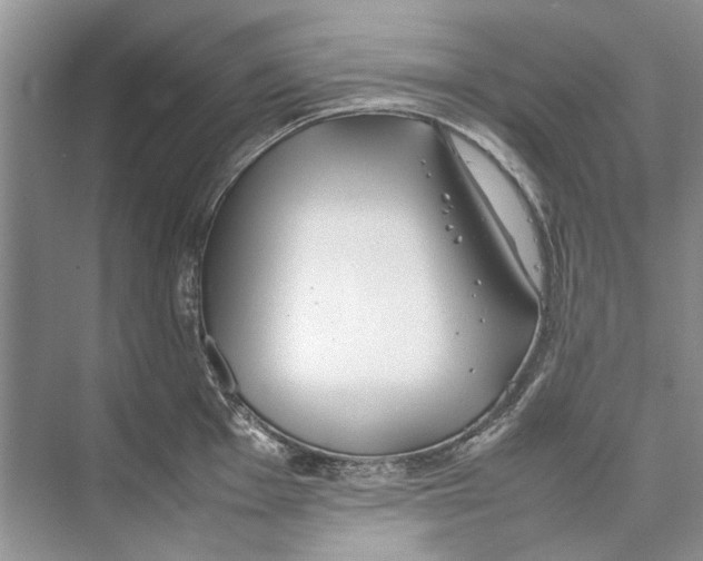 X0000074311001200609222356