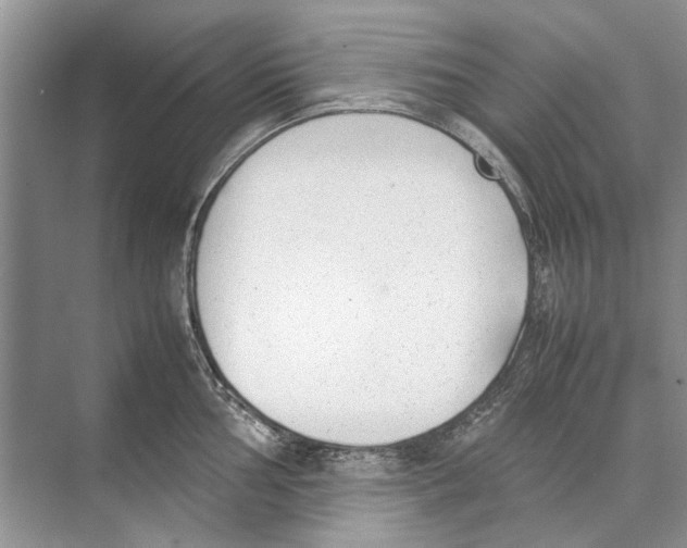 X0000074311002200609222356