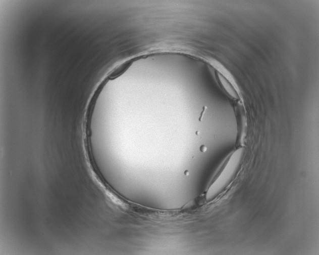 X0000074311005200609222356