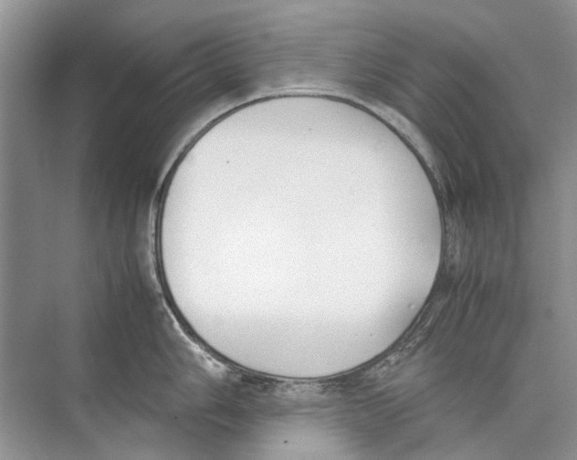 X0000074311006200609222356