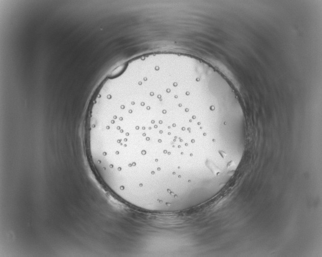 X0000074311007200609222356