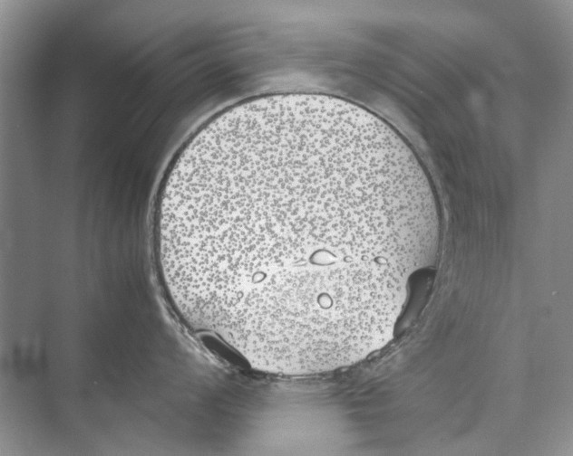 X0000074311008200609222356