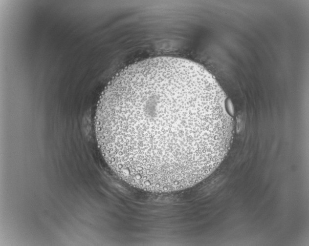 X0000074311011200609222355