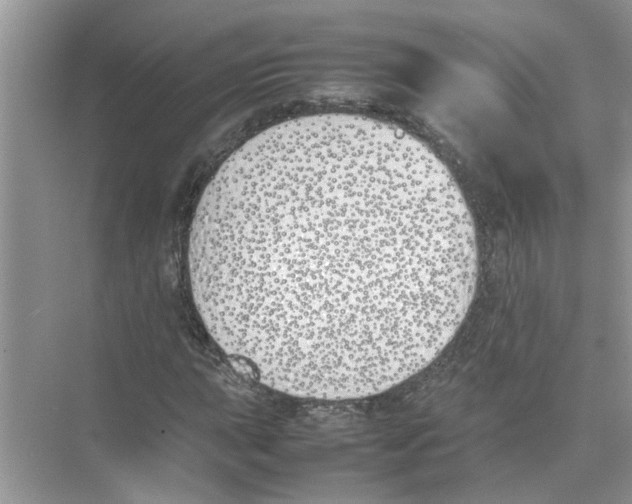 X0000074311015200609222355