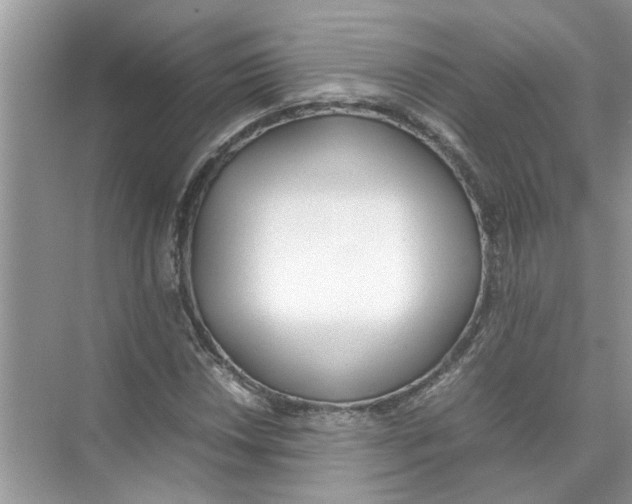 X0000074311018200609222355