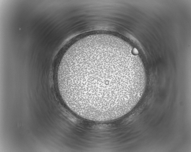 X0000074311019200609222355