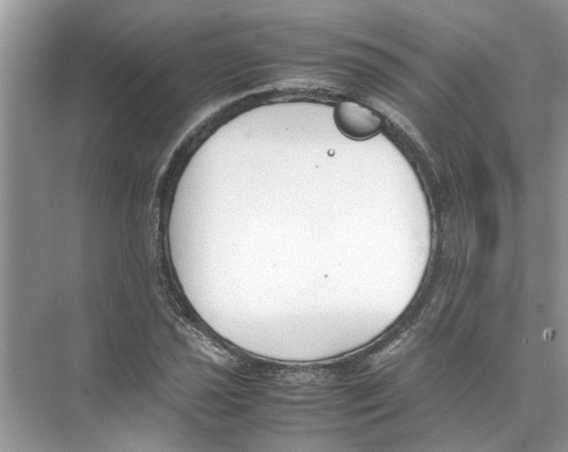 X0000074311021200609222355