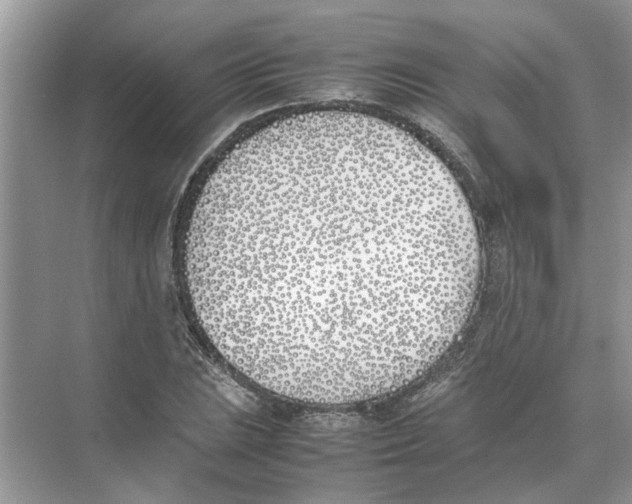 X0000074311023200609222355