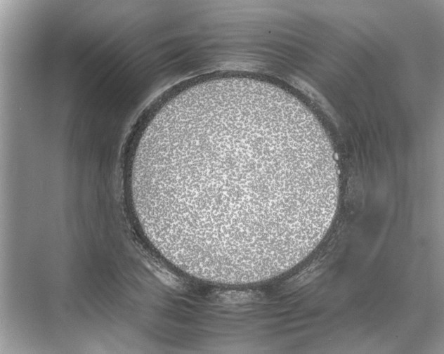 X0000074311027200609222355