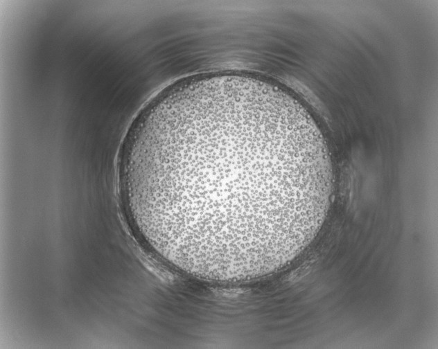 X0000074311031200609222355