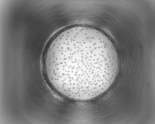 X0000074311032200609222355