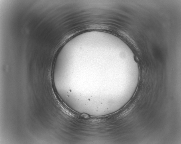 X0000074311033200609222355