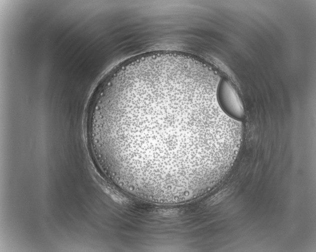 X0000074311035200609222355