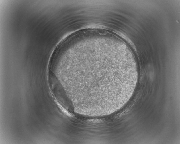 X0000074311037200609222355