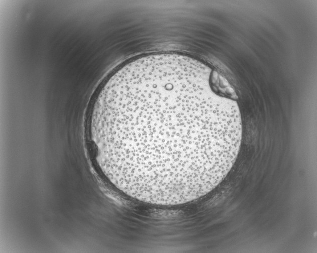 X0000074311039200609222355