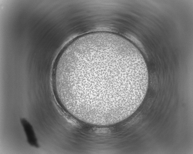 X0000074311043200609222355