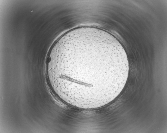 X0000074311044200609222355