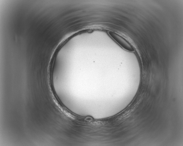 X0000074311045200609222355