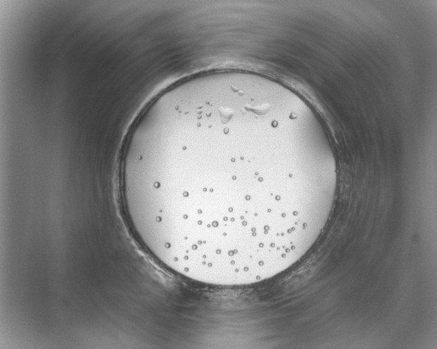 X0000074311048200609222355