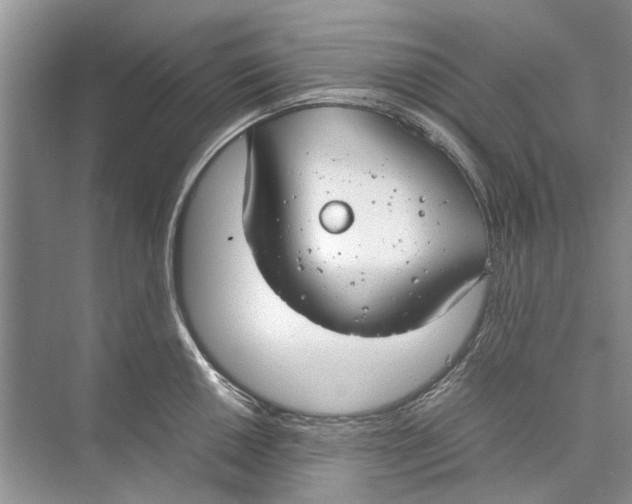 X0000074311050200609222356