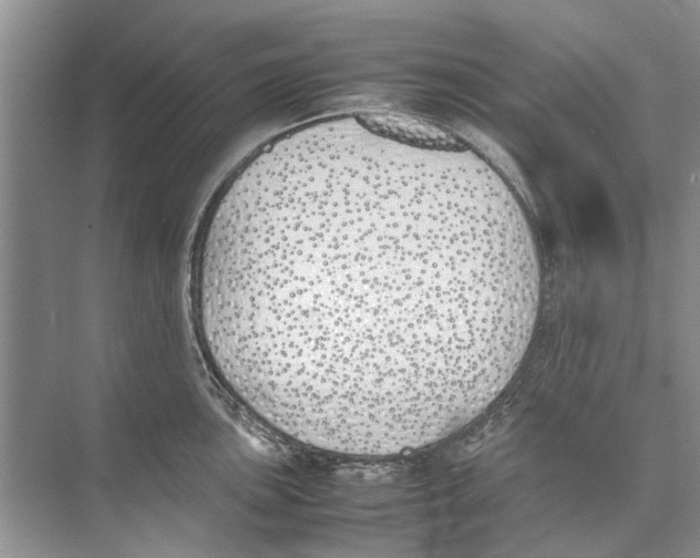 X0000074311051200609222356