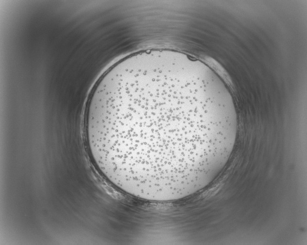 X0000074311052200609222356