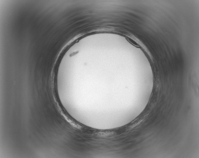 X0000074311053200609222356