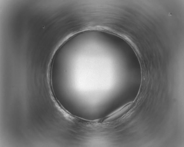 X0000074311054200609222356