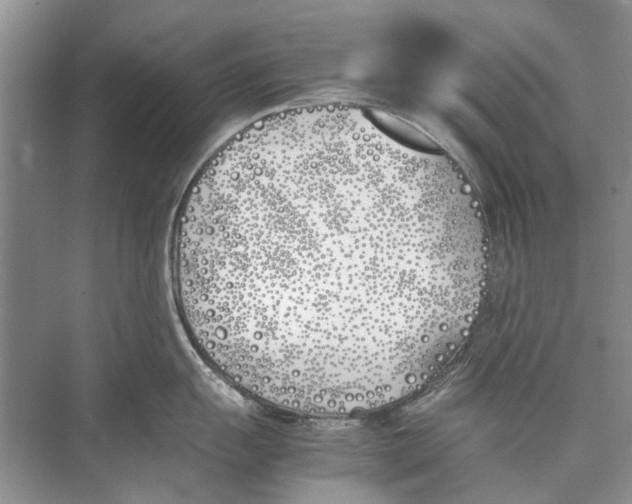 X0000074311055200609222356