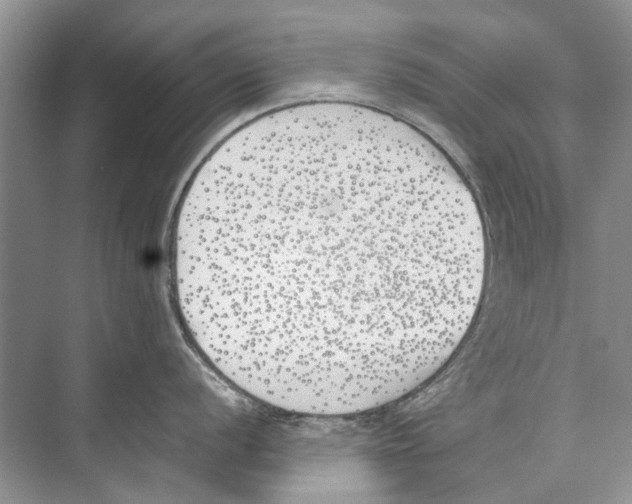 X0000074311056200609222356